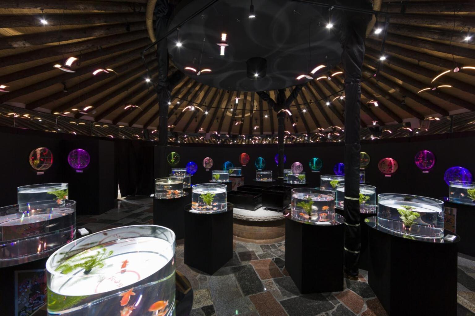 Hotel Gotemba Kogen Tokinosumika Zewnętrze zdjęcie